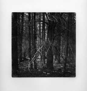 Sticks and Stones 26 